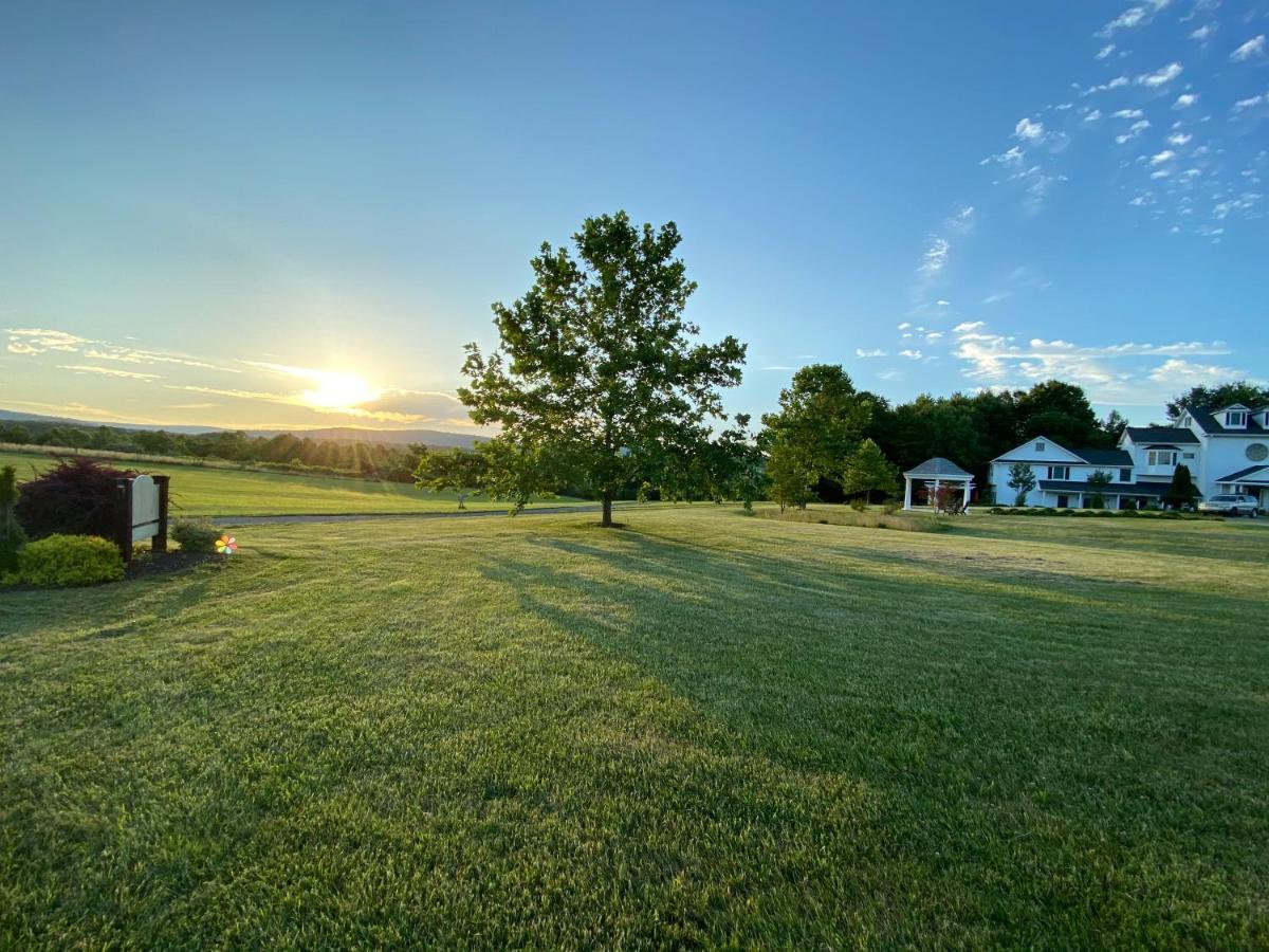 Loudoun Valley Manor B&B Waterford 外观 照片